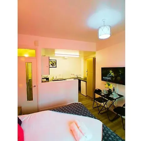 Studio-citycentre Freepark-wifi * לידס